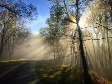 Solve The Blue Ridge Parkway North Carolina Jigsaw Puzzle Online With