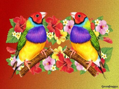 Solve Puzzle Gouldian Finches Jigsaw Puzzle Online With Pieces