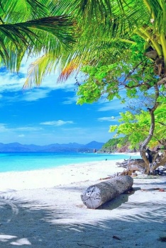 Solve Praia Tropical Em Algum Lugar Do Mundo Jigsaw Puzzle Online