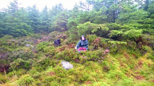 Solve Jack And Graham Enjoying The Rain And The Heather On Arran Jigsaw