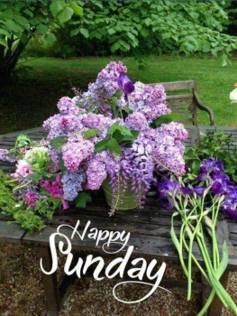 Solve Good Morning Happy Sunday Jigsaw Puzzle Online With Pieces