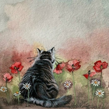 Solve Cat With Poppies Resize 9 To 256 Jigsaw Puzzle Online With 64