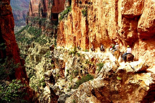 Solve Grand Canyon North Rim Trail Jigsaw Puzzle Online With Pieces