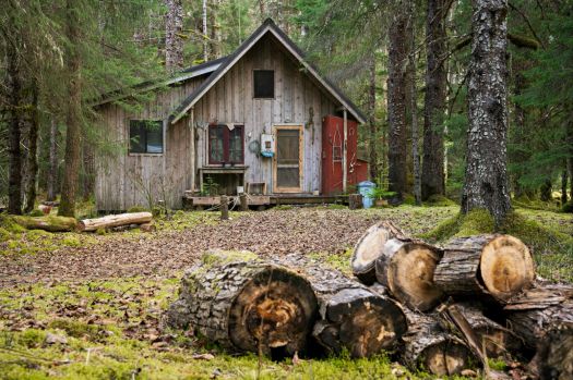 Solve A Cabin In The Woods Jigsaw Puzzle Online With Pieces