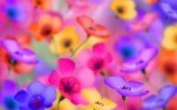 Pretty Pastel Flowers
