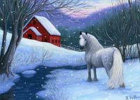 Grey pony winter.