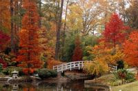 Beautiful Image - Fall is coming
