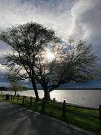 random shot turned beautiful