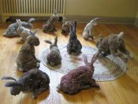 3 Million Moments of JOY (or) Meet My Dust Bunnies!!!