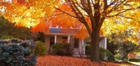 Beautiful Fall day in  Fair Haven, NJ5c