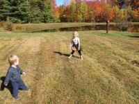 Autumn Fun