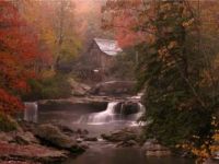 rambling brook