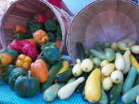 Peppers 'n zucchini squash