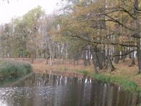 Fall