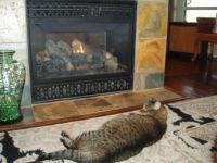 Oliver warming by the fire