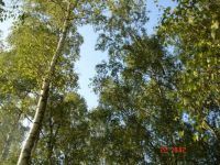 DSC04961
