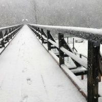 Snow on the bridge