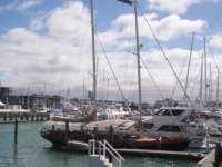 Auckland New Zealand (51)