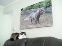 "Sabrina"...and a canvas wall hanging of our late "Mister".