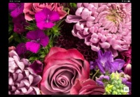 Bloemen