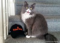 Belka supports Wicked Strong