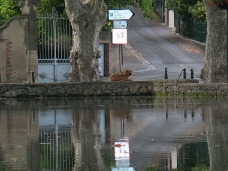 Pond of Cucuron. France.