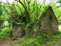 Abandoned Stone Cottage, Ireland