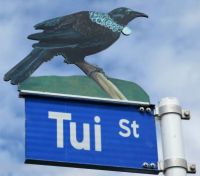 Tui Street, Taihape