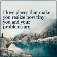 Seeing the whole picture.