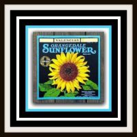 Just sunshine and happiness - Vintage Sunflower Fruit Crate Label