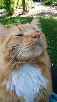 Bozo-something smells good
