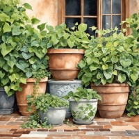 Watercolor Hosta and Ivy in Clay Pots