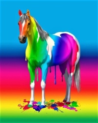 colorful-rainbow-paint-horse-crista-forest