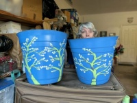 Berf painted old flowerpots a la van Gogh's "Almond Blossom"