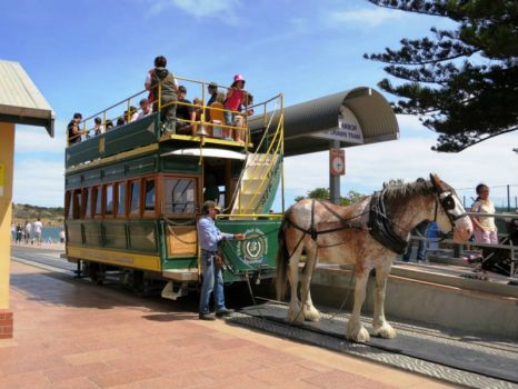 Solve Theme ~ Horses ~ Horse Drawn Tram ~ Sth Australia ...