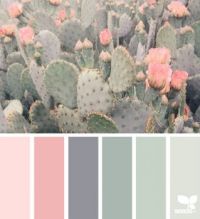 CactiColor_150