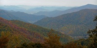 Fall Foliage in the Smokie Mtns