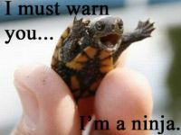 I'm a mutant ninja turtle!!