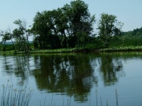Dyke Marsh