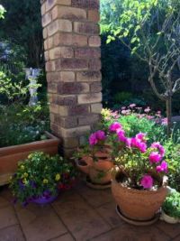Front patio