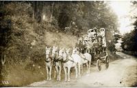 On Huon Road Tasmania c. 1915