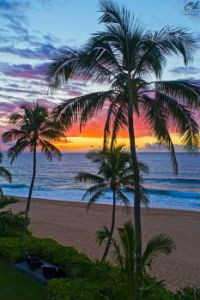 nice sunset