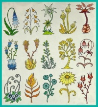 Self-colored drawings. Zelf gekleurde tekeningen.