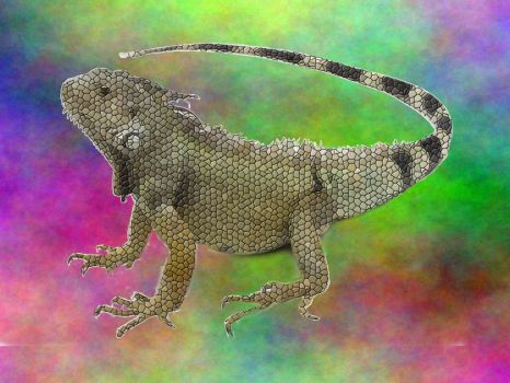 Solve Lizard jigsaw puzzle online with 108 pieces