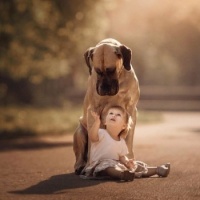A girl and her dog20