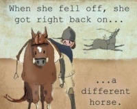 always get back on  even if not the same horse