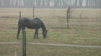 rain and mud day 010