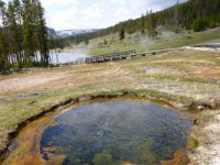 Yellowstone pools