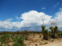 Arizona Desert Storm