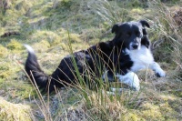 Sweep posing